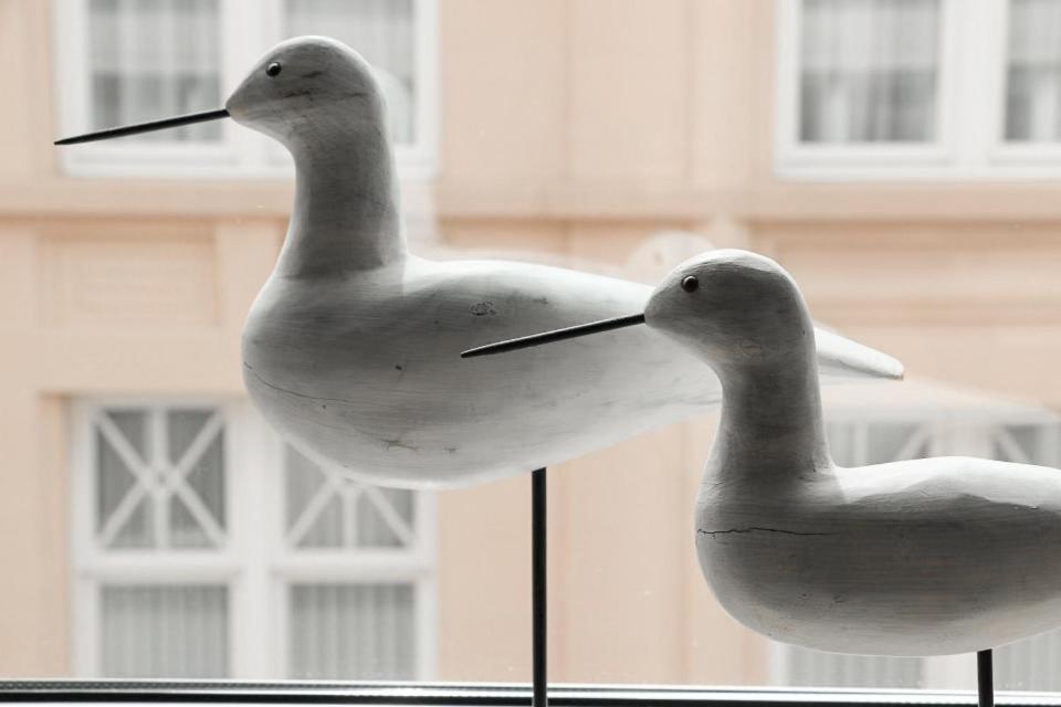 Zonnig & Gezellig Appartement Centrum Oostende Dış mekan fotoğraf
